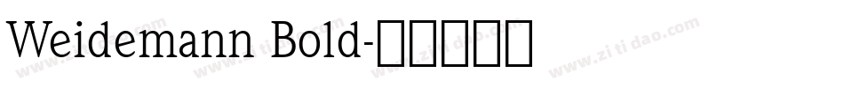 Weidemann Bold字体转换
